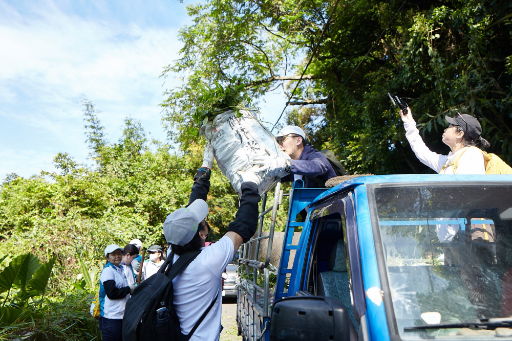 友達串聯志工組成水環境巡守隊，針對霄裡溪沿岸3公里的小花蔓澤蘭，定期進行移除與防治工作